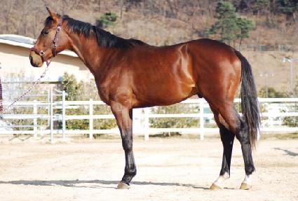 ��������ȣ�� ����