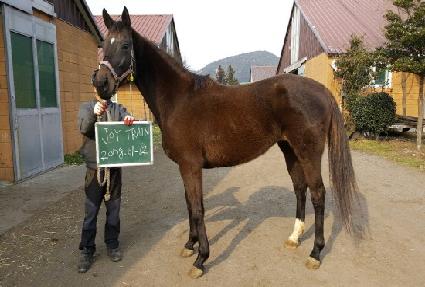 ����Ʈ���� ����