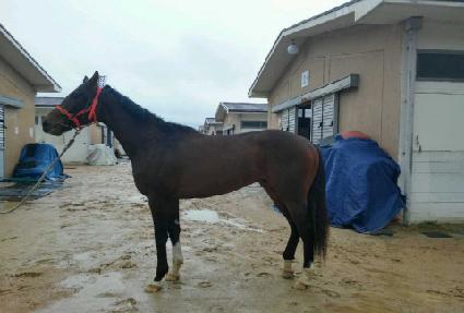 ����Ǯ�� ����