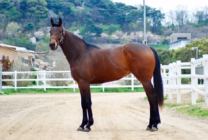 ��ƼǮ���� ����