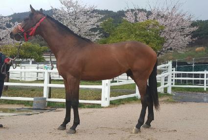 �뼼�� ����