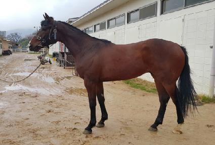 ���������� ����