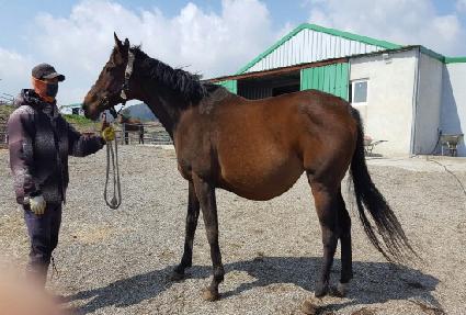 ���̽����׳��� ����