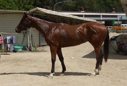 �ݺ����� ����