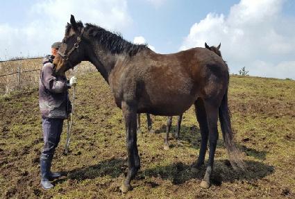 ������� ����