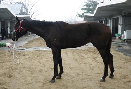 ������Ƽ��� ����