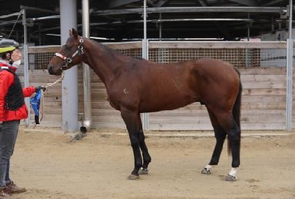 ����ī�Ǻ� ����