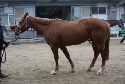 ų����ǥ�� ����