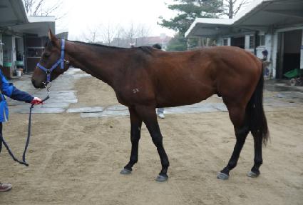 �ݾ�Ŭ���� ����