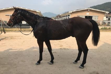 �ε��������� ����