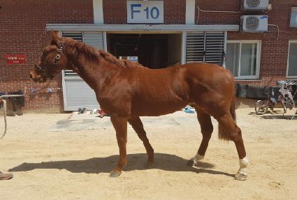 �����ͷ� ����