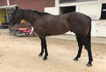 ���ں��� ����