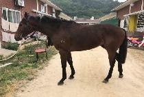 ���丮��ũ (VICTORY PARK) ����