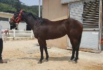 ������ǰ�� (YEOSINUI PUMGYEOK) ����