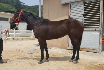 ������ǰ�� ����