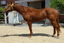 ��籺�� (DAMYANG GUNJU) ����