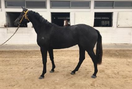 ������Ÿ ����