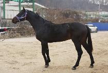 ���ŷ (DAEMYEONG KING) ����