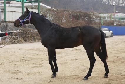 ���ŷ ����