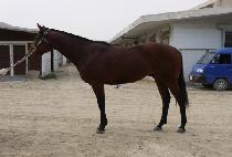 ų�������� (KILIUI JEWANG) ����