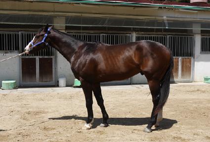 ���о�ġ ����