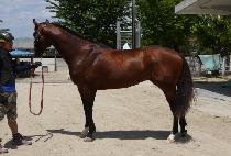 ���Ǻ��� (HAPPY BOY) ����