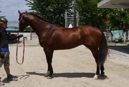 ���Ǻ��� ����