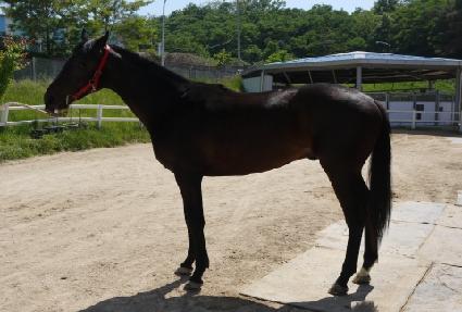 Ƽ���÷� ����