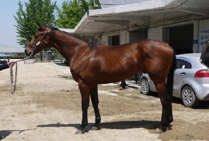 ��꼼�� ����