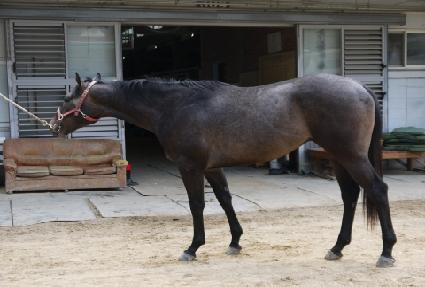 �������� ����