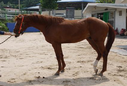 û������ ����