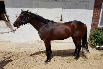 ��Ű������ (LUCKY PRIME) ����