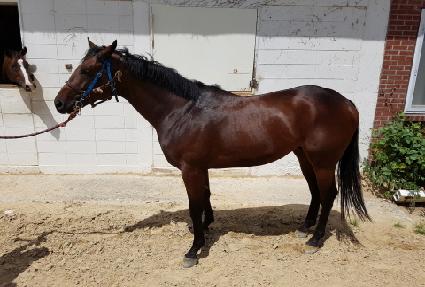 ��Ű������ ����