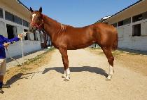 ���ڽ� (GOLD BOX) ����