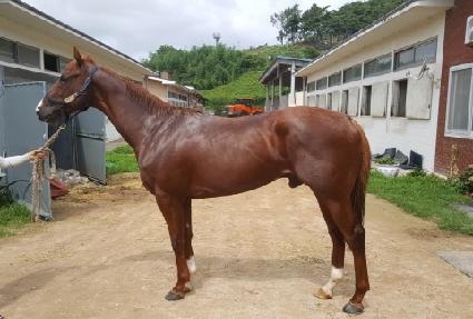 �߷յ������� ����