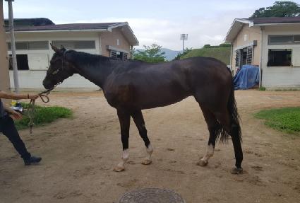 Ƽ������� ����