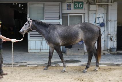 ����¯ ����