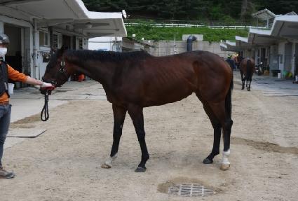 ������ ����