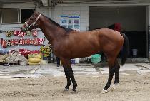 ������ (MAKJIMA) ����