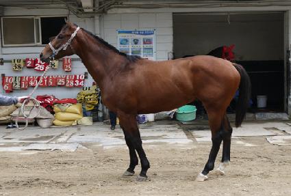 ������ ����