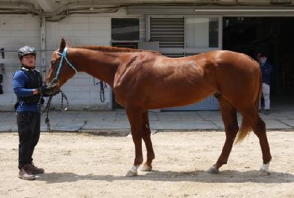 �̰��ָ� ����