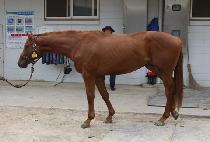 ���̺񿡽����� (I. B. S. MARINE) ����