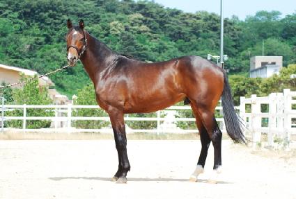 ������ī�帲 ����