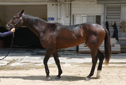 �ɹٴ��ؽ�Ʈ ����