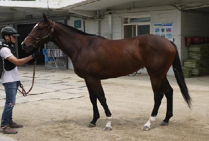 ����巹�� ����