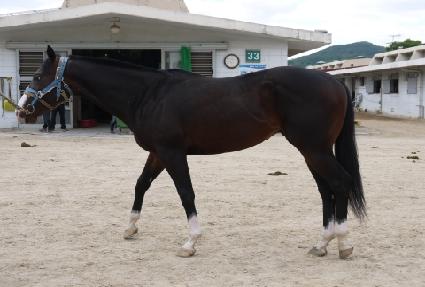 ����īŷ ����