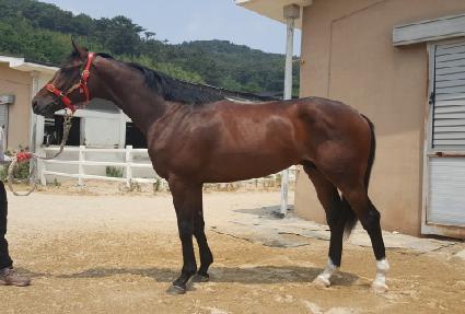 �鹮��� ����