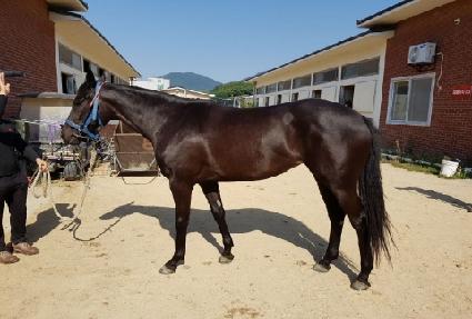 ���ټ� ����