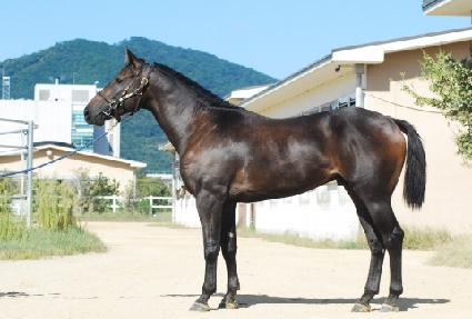 �ο����� ����