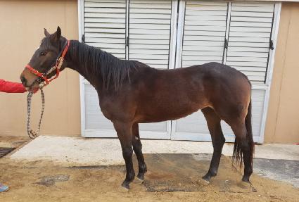 ū���� ����